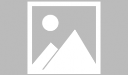 亲子动漫,温馨时光，陪伴成长的故事